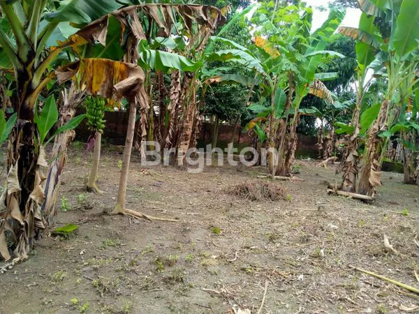 image TANAH LUAS MURAH DI DAERAH PLEMAHAN KABUPATEN KEDIRI (4)