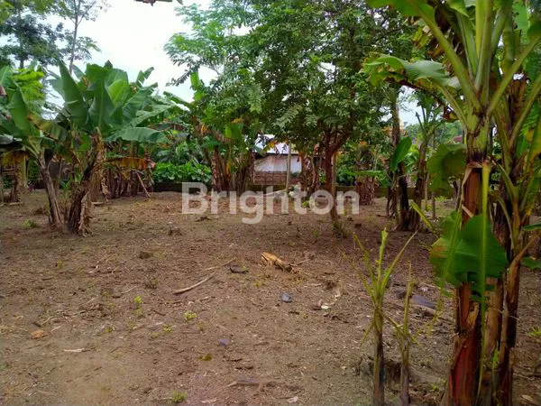 image TANAH LUAS MURAH DI DAERAH PLEMAHAN KABUPATEN KEDIRI (3)