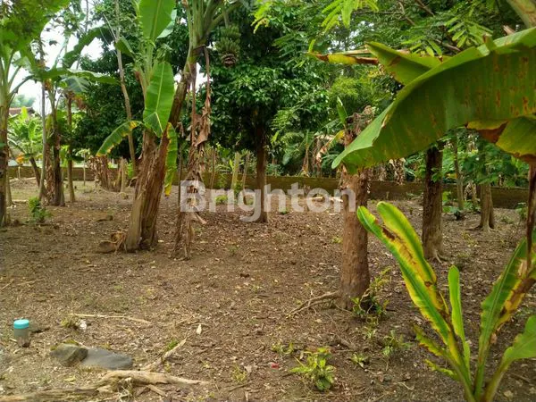 image TANAH LUAS MURAH DI DAERAH PLEMAHAN KABUPATEN KEDIRI (5)