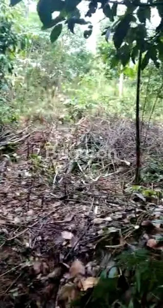 image TANAH DI LEUWILIANG (3)