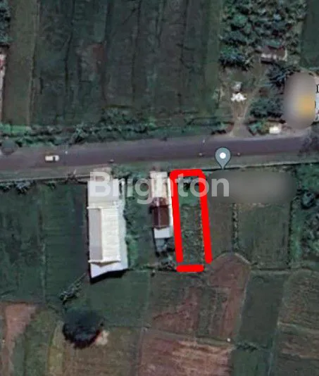 image RP 650JT SAJA, TANAH BALONGPANGGANG PINGGIR JALAN PERSIS, LUAS 300 AN, LEBAR 10, SIAP UNTUNG (1)