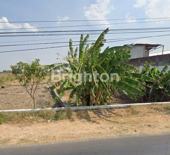 image RP 650JT SAJA, TANAH BALONGPANGGANG PINGGIR JALAN PERSIS, LUAS 300 AN, LEBAR 10, SIAP UNTUNG (2)