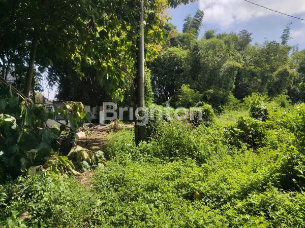 image TANAH DI MERJOSARI MALANG (2)