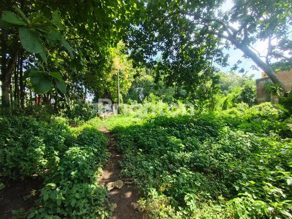 image TANAH DI MERJOSARI MALANG (3)