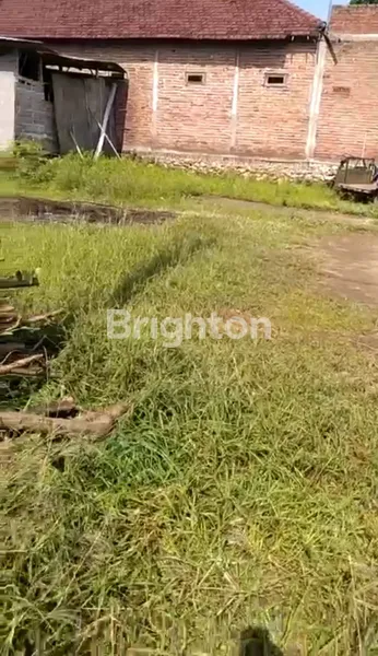 image TANAH MURAH HANYA 100 JUTAAN DI DESA GADING WATU, MENGANTI GRESIK (2)