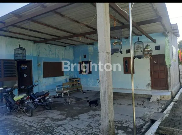 image DIJUAL RUMAH HITUNG TANAH SOLO (1)