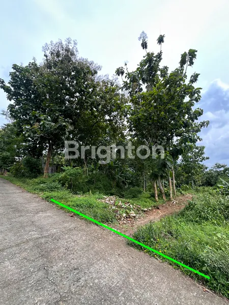 image TANAH MURAH DI KARANGPANDAN KARANGANYAR DEKAT KOTA SOLO (3)