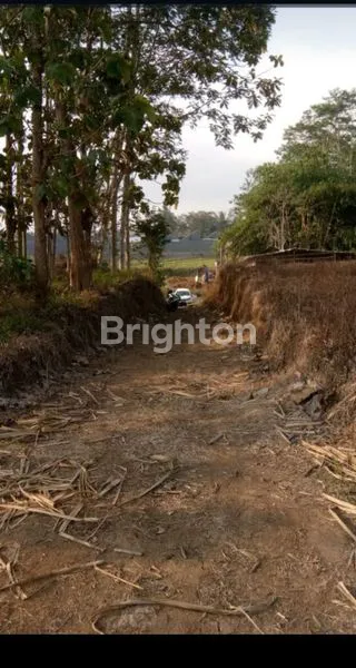 image TANAH BUTUH SEGERA LAKU DI TLOGOWARU MALANG  (2)
