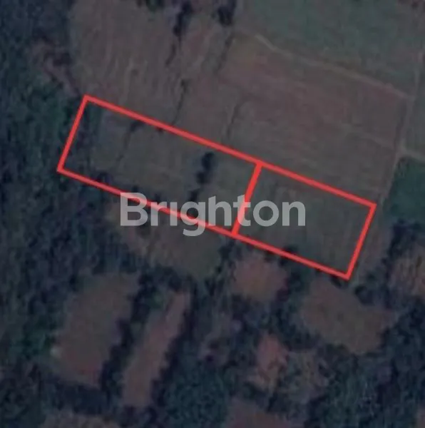 TANAH STARTEGIS TIDAK JAUH DARI JALAN UTAMA