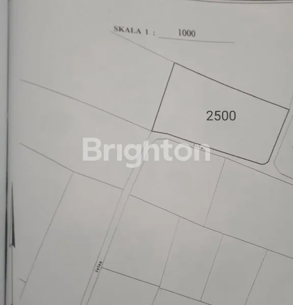 image TANAH STARTEGIS TIDAK JAUH DARI JALAN UTAMA (2)