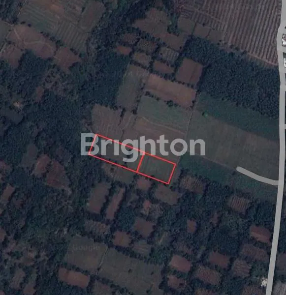 image TANAH STARTEGIS TIDAK JAUH DARI JALAN UTAMA (4)