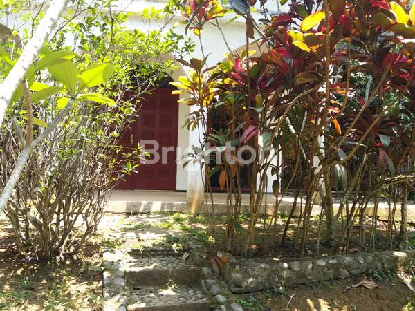 image JUAL RUMAH COCOK UNTUK USAHA CAFE DI CIPAYUNG MEGAMENDUNG- 5 MENIT DARI VIMALLA HILLS (2)