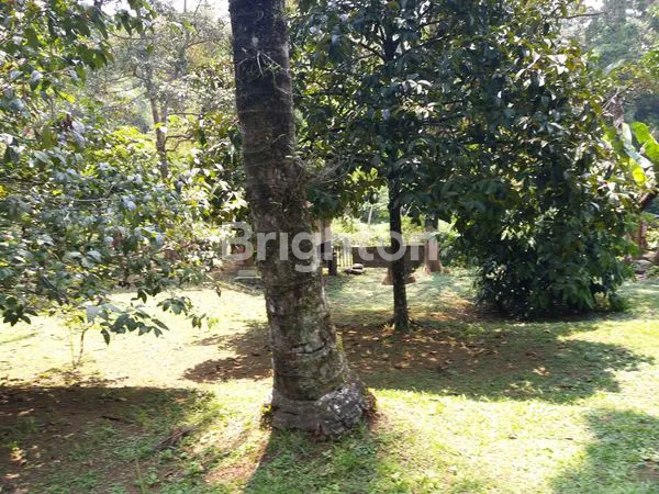 image JUAL RUMAH COCOK UNTUK USAHA CAFE DI CIPAYUNG MEGAMENDUNG- 5 MENIT DARI VIMALLA HILLS (3)