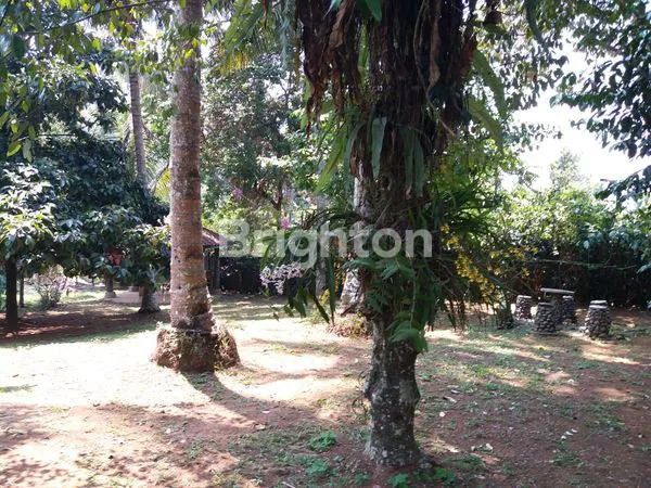 image JUAL RUMAH COCOK UNTUK USAHA CAFE DI CIPAYUNG MEGAMENDUNG- 5 MENIT DARI VIMALLA HILLS (4)