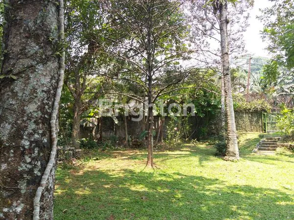 image JUAL RUMAH COCOK UNTUK USAHA CAFE DI CIPAYUNG MEGAMENDUNG- 5 MENIT DARI VIMALLA HILLS (6)