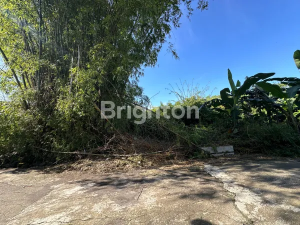 image TANAH ZONA MERAH INDUSTRI MURAH DEKAT SOLO BARU SIAP BANGUN DI SUKOHARJO (4)