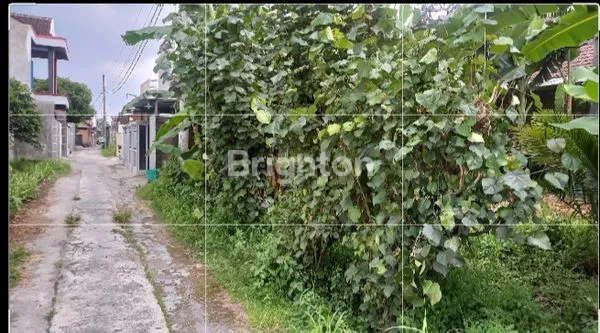 image TANAH MURAH! SIAP BANGUN PEKARANGAN GAGAK SIPAT (4)