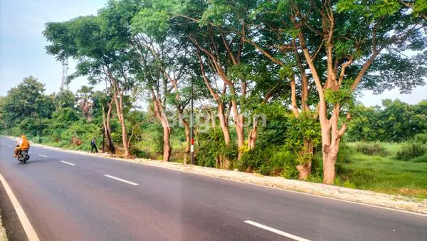 DI JUAL TANAH INDUSTRI LOKASI NOL JALAN PROPINSI DI KOTA GRESIK
