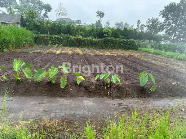 TANAH KAVLING DI BATU MALANG