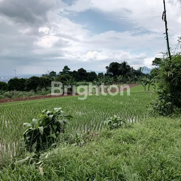 image TANAH DIJUAL COCOK UNTUK INVESTASI (8)