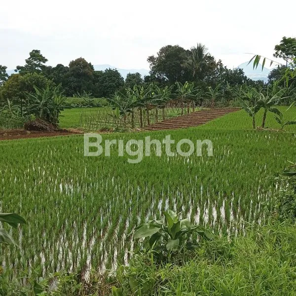 image TANAH DIJUAL COCOK UNTUK INVESTASI (7)