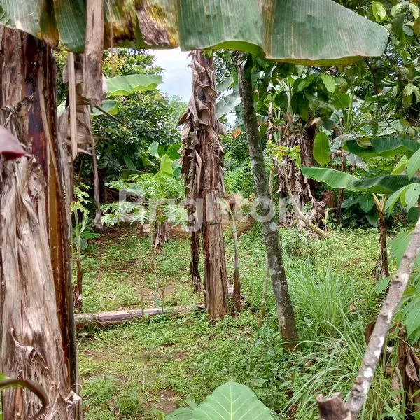 image TANAH DIJUAL COCOK UNTUK INVESTASI (6)