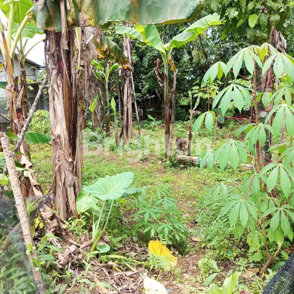 image TANAH DIJUAL COCOK UNTUK INVESTASI (5)