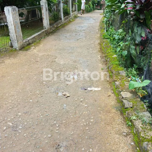 image TANAH DIJUAL COCOK UNTUK INVESTASI (3)