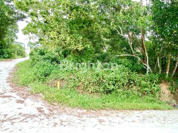 image TANAH DATAR AREA TENGAH KOTA (1)