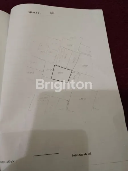 image TANAH DATAR AREA GUNUNG PUTRI (2)