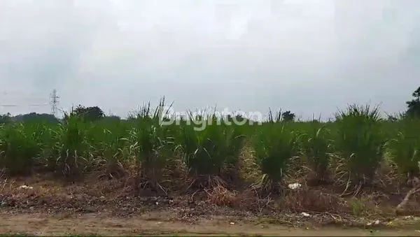 Gambar Property KAVLING PAHLAWAN MUBIN WONOKOYO MEGANTI