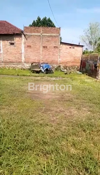 image TANAH MURAH DI DESA GADING WATU, MENGANTI GRESIK (1)