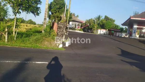 TANAH  PALING DICARI DAERAH WANASARI TABANAN SANGAT STRATEGIS