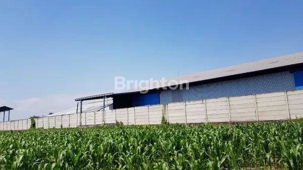 image KAVLING GUDANG/INDUSTRY PASURUAN (3)
