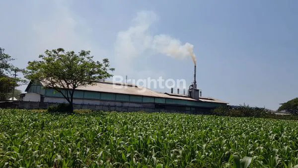 image KAVLING GUDANG/INDUSTRY PASURUAN (2)
