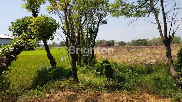 image KAVLING GUDANG/INDUSTRY PASURUAN (1)