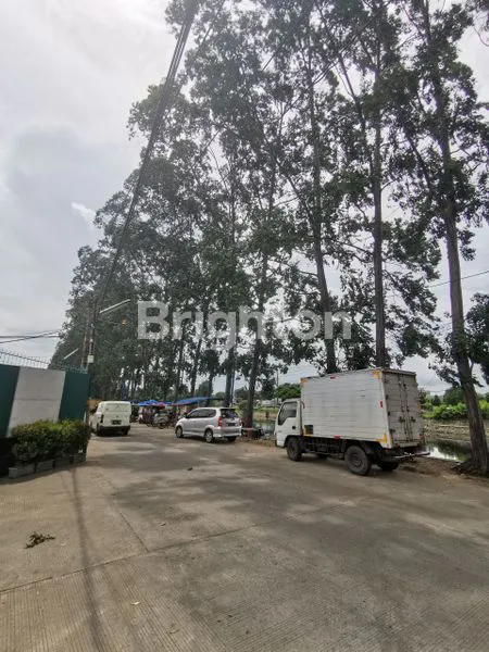 image PABRIK DAAN MOGOT EX KERTAS UKURAN 1000M2 HINGGA 8000M2 HARGA NEGO (1)