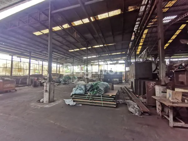 image PABRIK DAAN MOGOT EX KERTAS UKURAN 1000M2 HINGGA 8000M2 HARGA NEGO (2)