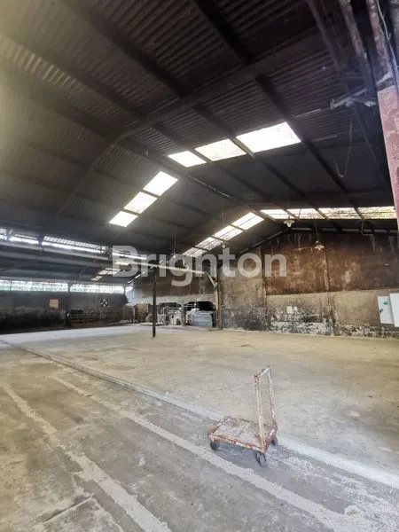 image PABRIK DAAN MOGOT EX KERTAS UKURAN 1000M2 HINGGA 8000M2 HARGA NEGO (3)