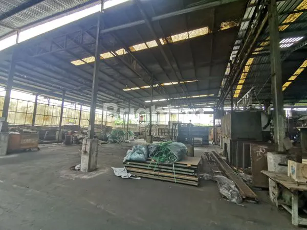 image PABRIK DAAN MOGOT EX KERTAS UKURAN 1000M2 HINGGA 8000M2 HARGA NEGO (4)