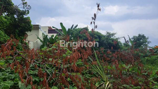 image TANAH  SEI BERANTAS MEDAN BARU (3)