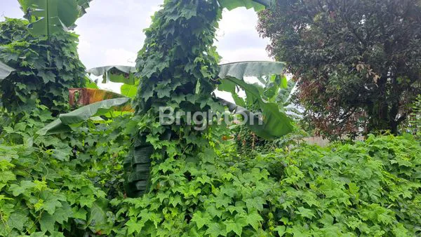 image TANAH  SEI BERANTAS MEDAN BARU (2)