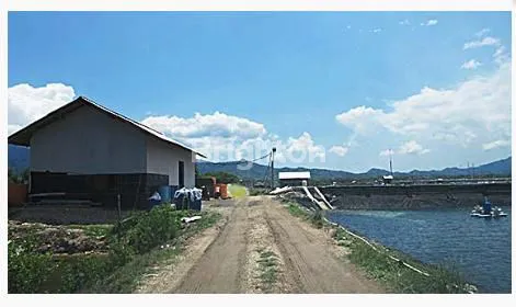 TANAH LUAS DI PEJARAKAN BALI