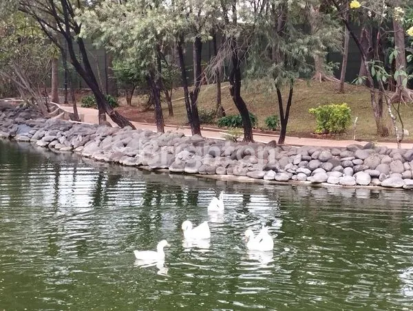 image RUMAH HUNIAN EXCLUSIVE DAN AMAN (3)