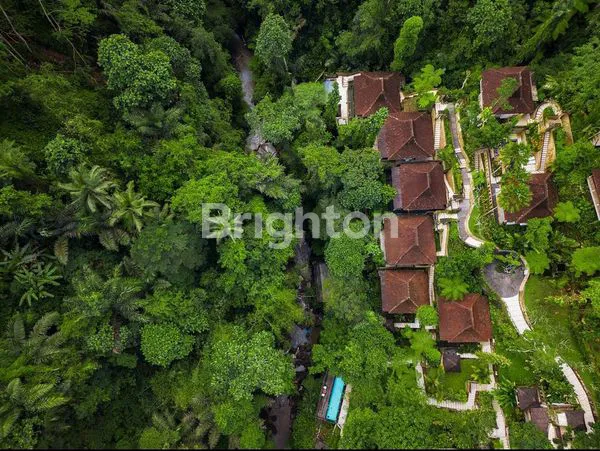 image UBUD VILLAS AND RESIDENCE TEGALLALANG  (8)