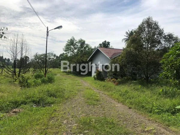 image TANAH JALAN BESAR NAMORAMBE DELI SERDANG (1)