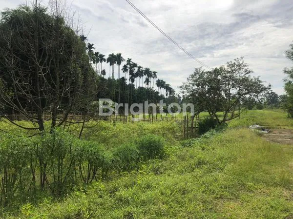 image TANAH JALAN BESAR NAMORAMBE DELI SERDANG (2)