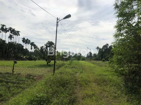 image TANAH JALAN BESAR NAMORAMBE DELI SERDANG (3)