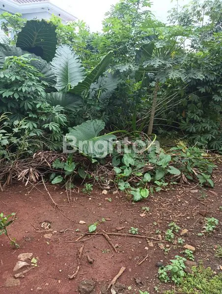 image LAHAN STRATEGIS CIPAYUNG  (7)