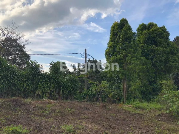 image TANAH DI JL. TARUMANEGARA, CIJERUK (1)